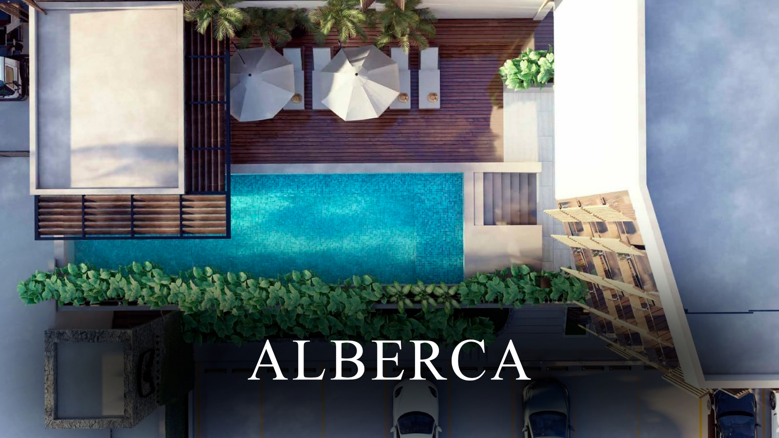 ALBERCA