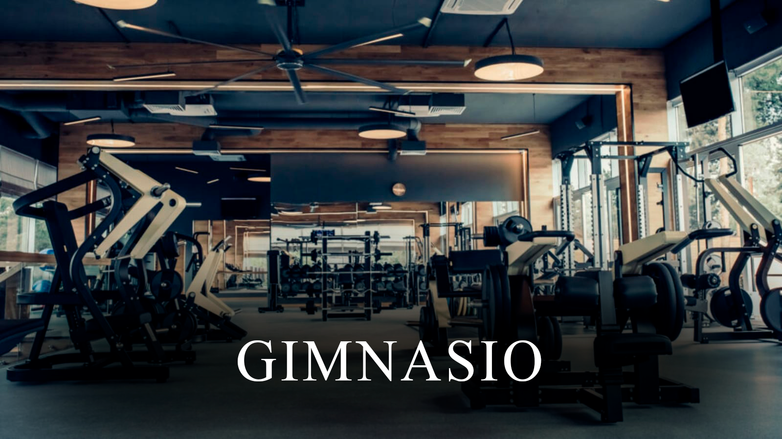 GIMNASIO