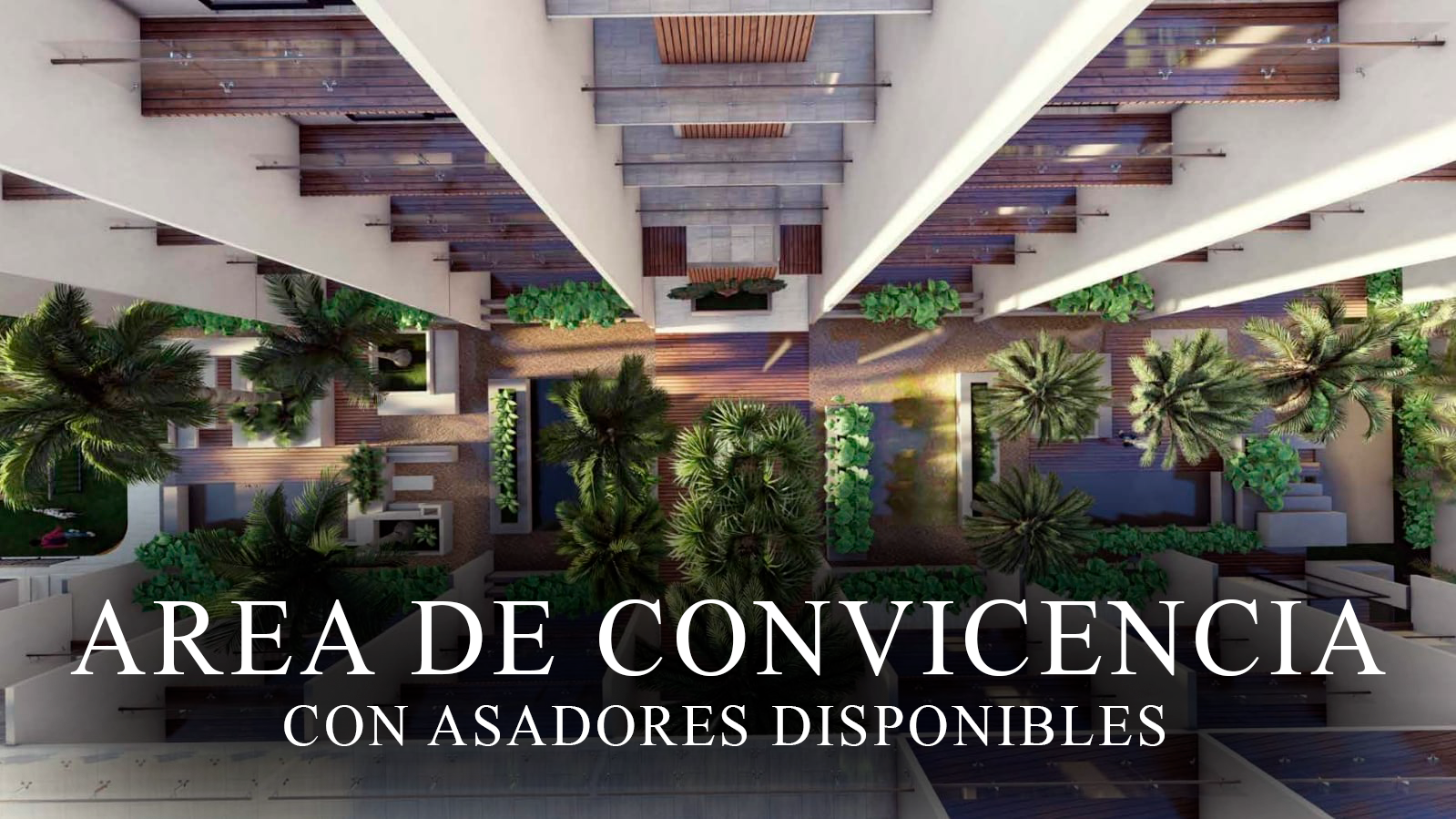 AREA-DE-CONVIVENCIA